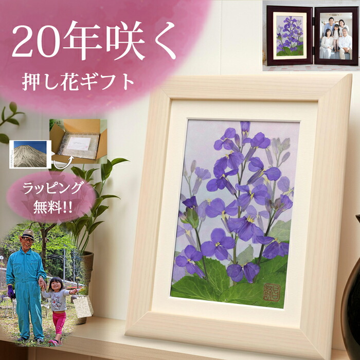 押し花差し上げ物7・8月の花特集【絵書き：庄村昌子】