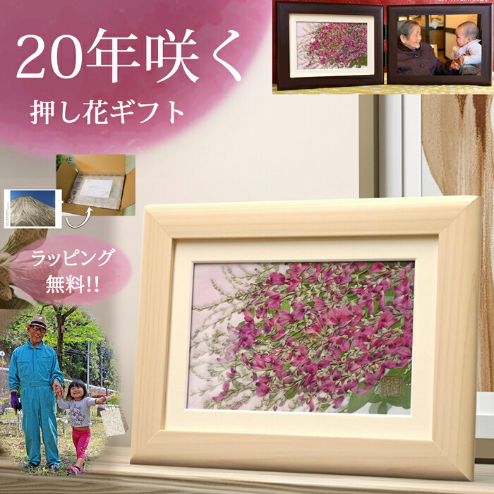 楽天市場】枯れない花 hana 花 ☆萩 絵 プリザーブドフラワー 額縁 額