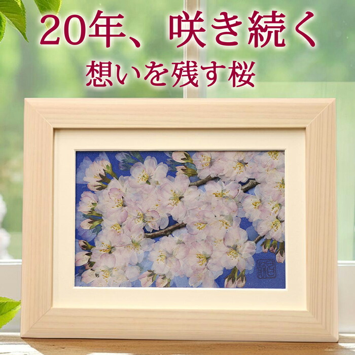 桜(横)ソメイヨシノ(花言葉：心の美しさ) ■102歳の誕生日プレゼント 妻への誕生日プレゼント 母の日 ギフト 90 代 入院 中 母 の 日 プレゼント フラワー 健康 ブリザードフラワー ギフト + 桜 桜モチーフ 名前入り 桜ブリザード　百歳お祝い 101歳 お祝い 101歳◆