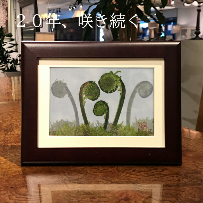 \20年咲き続く/ 驚き 押し花 ! 敬老の日 額 ギフト 絵 壁掛け プリザーブドフラワー 花の絵 プレゼント 絵画 花 置物 おしゃれ の お祝い 誕生日プレゼント 祖母 母 祝い 敬老 日 運気 が 上がる もの 秋の 名前 トイレに飾る額絵アート 送料無料 観葉植物 名入 プリザ