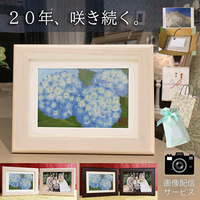 押し花差し上げ物7・8月の花特集【絵書き：庄村昌子】
