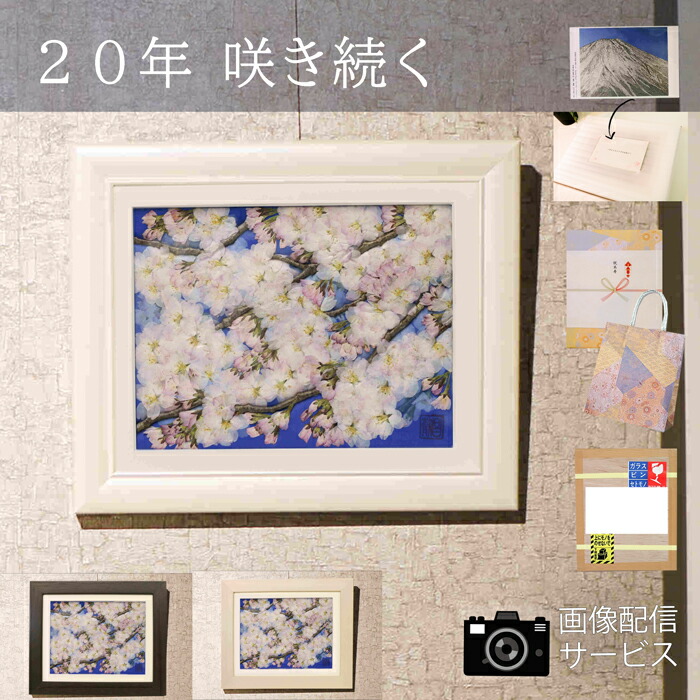 押し花差し上げ物7・8月の花特集【執筆者：庄村昌子】