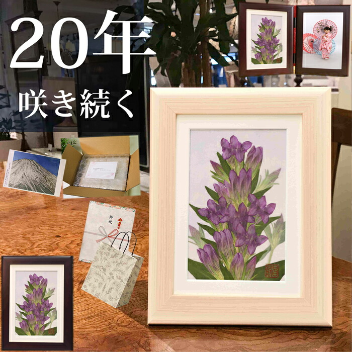 押し花差し上げ物7・8月の花特集【絵書き：庄村昌子】
