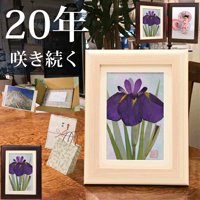 花菖蒲(花言葉：嬉しい知らせ・優しい心) ■新盆 お供え物|お返し 親 叔父 叔母 夫婦 飾る 玄関 花 コンパクト 御霊前 1周忌 13日 1日 12日 15日 100日 挨拶 のし 法事 仏壇 お悔やみ 贈り物 後日 写真立2l 2面 遺影写真立て 49日お供え物 フォトフレーム 2l遺影 3回忌お供え