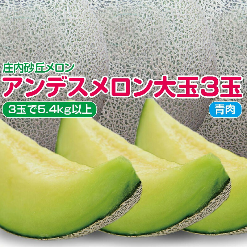 庄内砂丘メロン　アンデス（青肉）大玉３玉で５.４kg以上　お中元・贈答用・ご自宅用にも【送料無料】