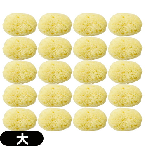 生れつき海綿 ユタカ 天然海の原綿動物スポンジ 顏スポンジ 大 粗粗5 7cm X個揃い Natural Seasponge 自然的 シースポンジ お素膚に雅やか海からうまれた天然海綿スポンジ 極致荷拵えでお届け致します Upntabasco Edu Mx