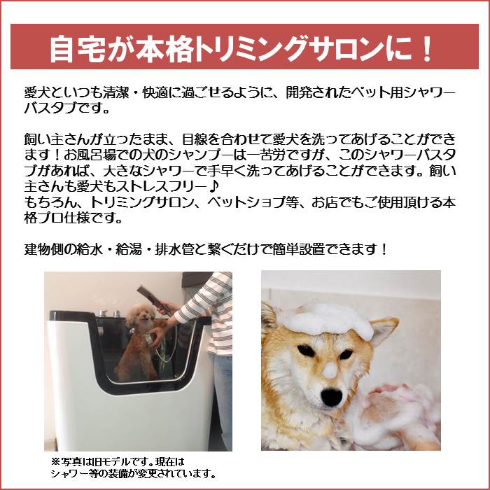 フェリー スキャンダル 推定 小型 犬 風呂 Manandvans Net