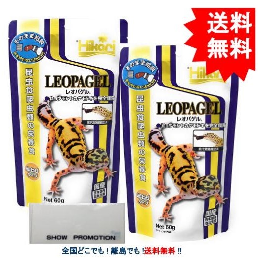 楽天ランキング1位 全国送料無料 在庫有り 即ok キョーリン レオパゲル 60g 25袋で まとめ買い 消費期限23 03 エサ