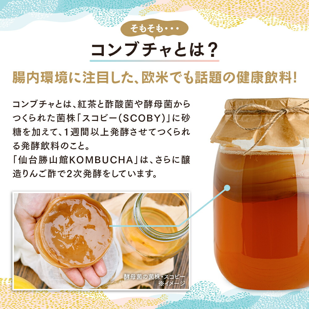 仙台勝山館KOMBUCHAコンブチャスティックタイプ4g×12包天然発酵紅茶粉末|紅茶紅茶キノコ無添加天然発酵酵素腸腸活腸内環境善玉菌プロバイオティクス乳酸菌酵母粉パウダー台湾茶黒茶阿里山個包装持ち運び