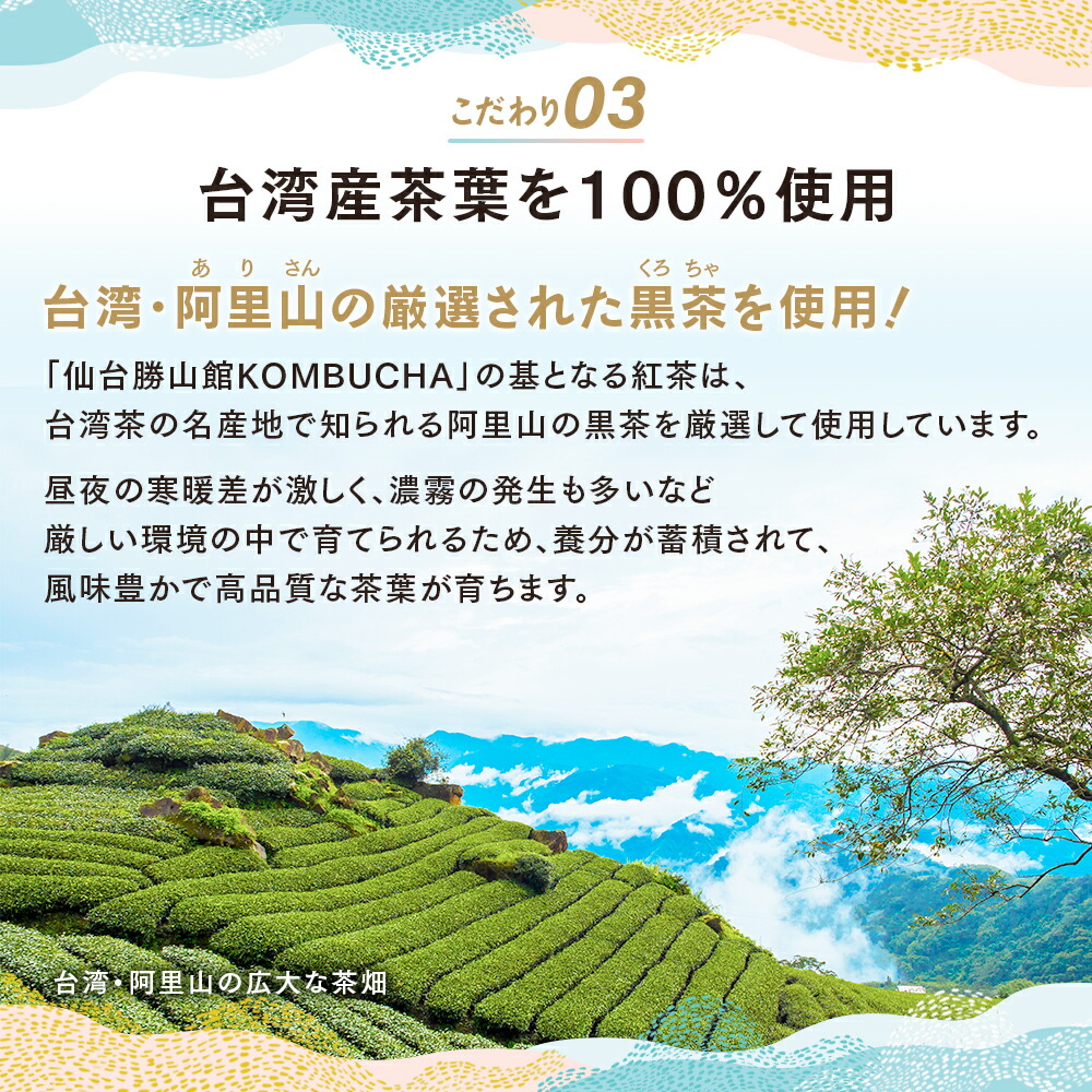 仙台勝山館KOMBUCHAコンブチャスティックタイプ4g×12包天然発酵紅茶粉末|紅茶紅茶キノコ無添加天然発酵酵素腸腸活腸内環境善玉菌プロバイオティクス乳酸菌酵母粉パウダー台湾茶黒茶阿里山個包装持ち運び
