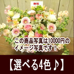 バラのアレンジメント ご予算8000円 税別 あす楽対応 フラワーアレンジメント 開店祝い 花 開業祝い 移転祝い 還暦祝い 母 即日発送 お誕生日 お花 プレゼント 女性 祖母 お祝い 生花 昇進祝い 開店 オープン 祝い メッセージカード付き 花屋 Carls Barbershop Com