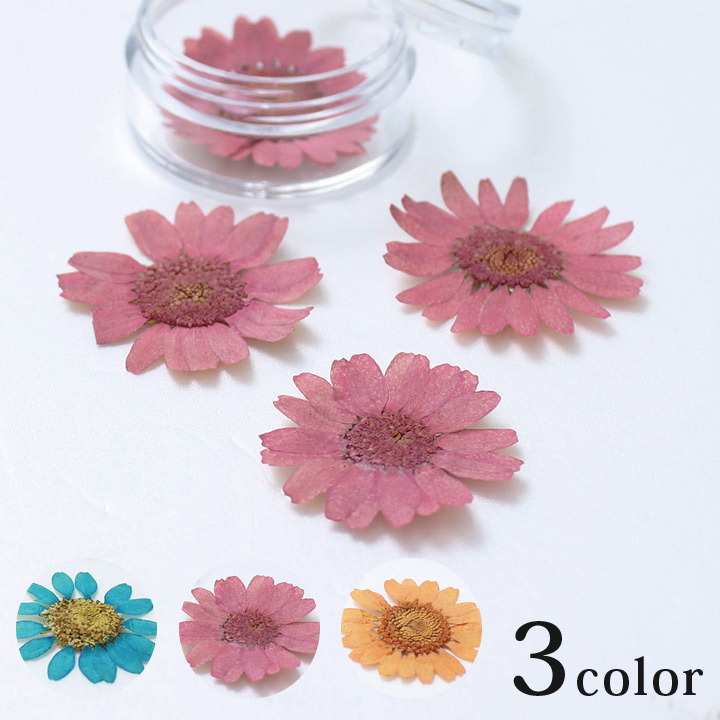 クラフト フラワー 押し花 レースフラワー イエロー メール便可