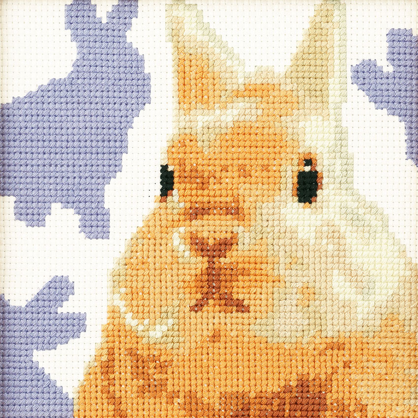 フランシュリッペ　ねことうさぎ刺繍ワンピース ◇くまとうさぎのなかよしニットワンピース＆リボンストール