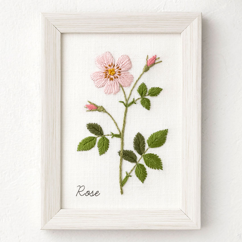 楽天市場】青木和子 お庭のスケッチブック 庭のベリー No.542210