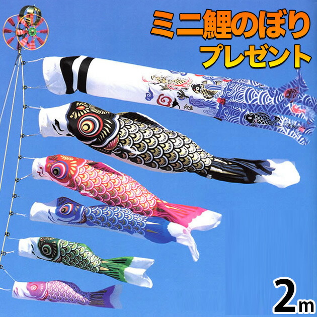 c6014-minikoi.jpg