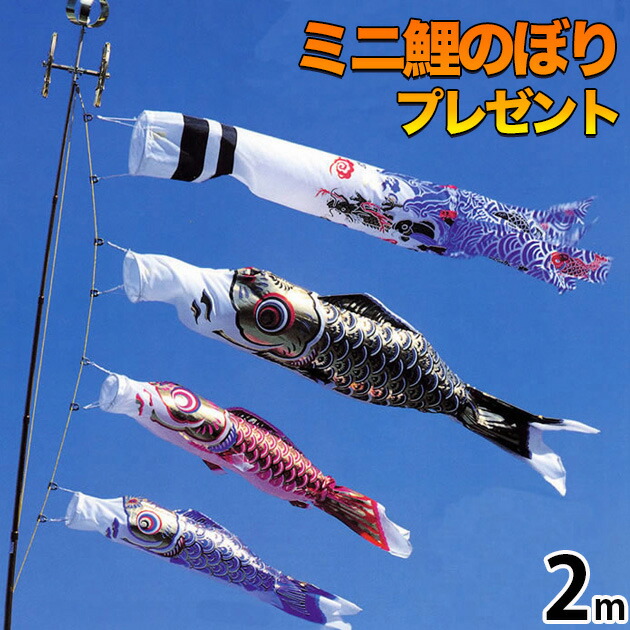 鯉のぼり こい幟旗  鯉のぼり ﾍﾞﾗﾝﾀﾞ用  こい幟旗 ﾍﾞﾗﾝﾀﾞ用  ﾏﾝｼｮﾝ 滑りだし金具付 川尻金龍ﾃﾞｻﾞｲﾝ 昇龍  貨物輸送無料 ｺﾝﾊﾟｸﾄ ﾐﾆ新作 秀光 押さえる品 特選 眼球商いもの  お買得 一般受け 度合い C6022