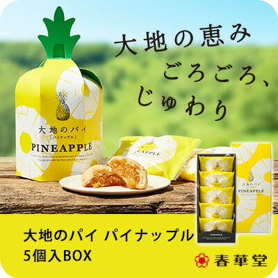 楽天市場 春華堂公式 大地のパイ パイナップル 3個入box パイナップル お菓子 焼き菓子 お中元 夏ギフト プチギフト 洋菓子 個包装 お礼 かわいい スイーツ ギフト 手土産 挨拶 静岡 静岡土産 お土産 小分け ギフト 熨斗 ギフト対応 常温便 うなぎパイの春華堂 楽天