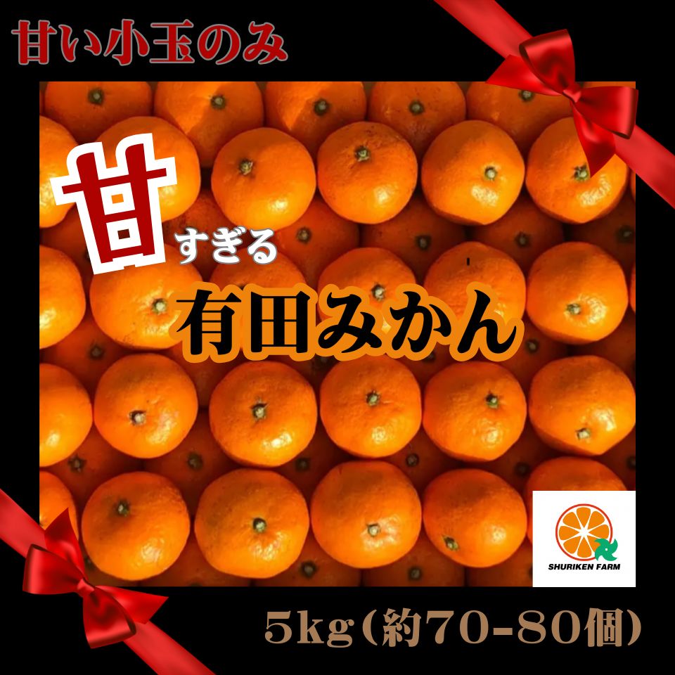 楽天市場】みかん 5kg 小玉 有田みかん ＼創業120年農家直送