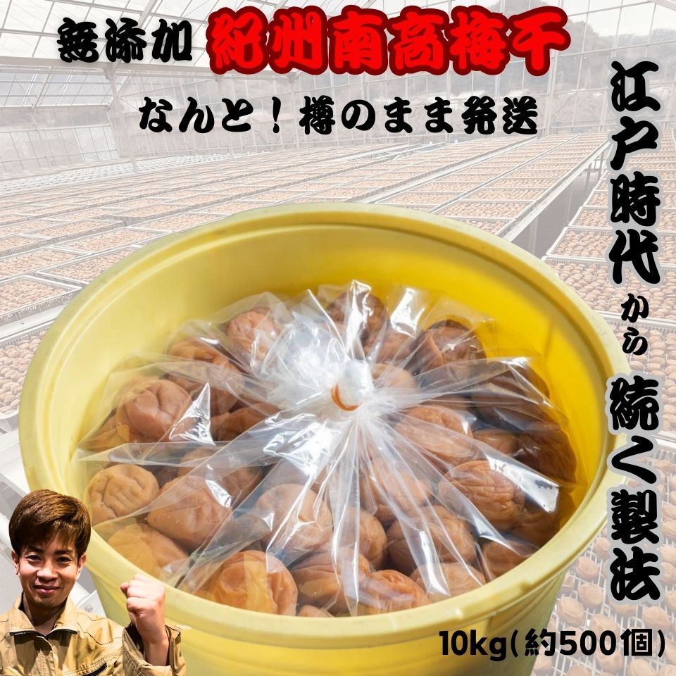 紀州南高梅 数量限定 【無添加】和歌山 梅干 梅 酸っぱい 江戸時代 濃い 産地直送 訳あり 送料 10kg 大容量 オープンキャンペーン 人気 おすすめ うめ