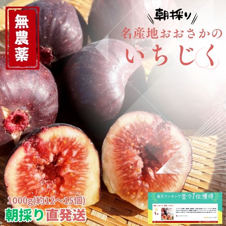 イチジク compass1756979450.jpg