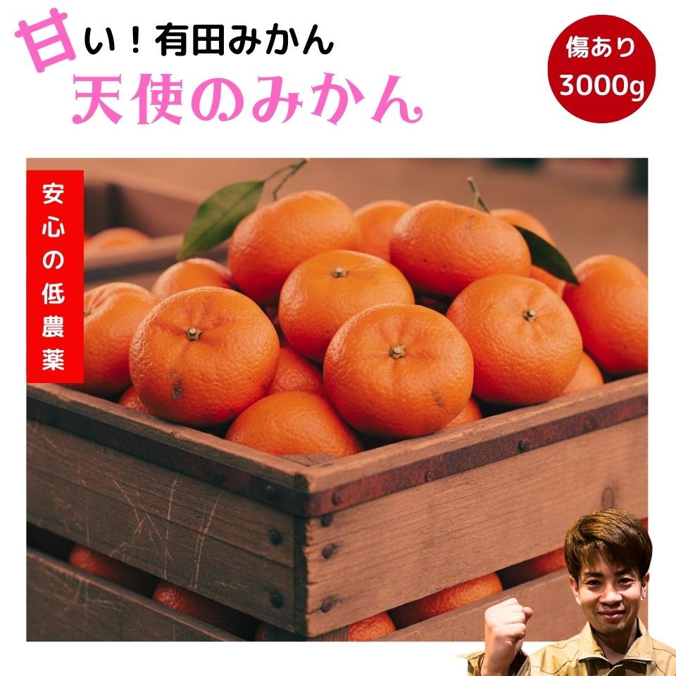 オープンキャンペーン 4000円⇒2580円 有田みかん 3kg 数量限定 【減農薬】和歌山 ブランド みかん 3キロ 蜜柑 和歌山県産 産地直送 送料無料 訳あり 傷あり 甘い おいしい 濃い 極早生 早生 和歌山みかん 訳ありみかん ありたみかん 甘いみかん 美味しいみかん画像