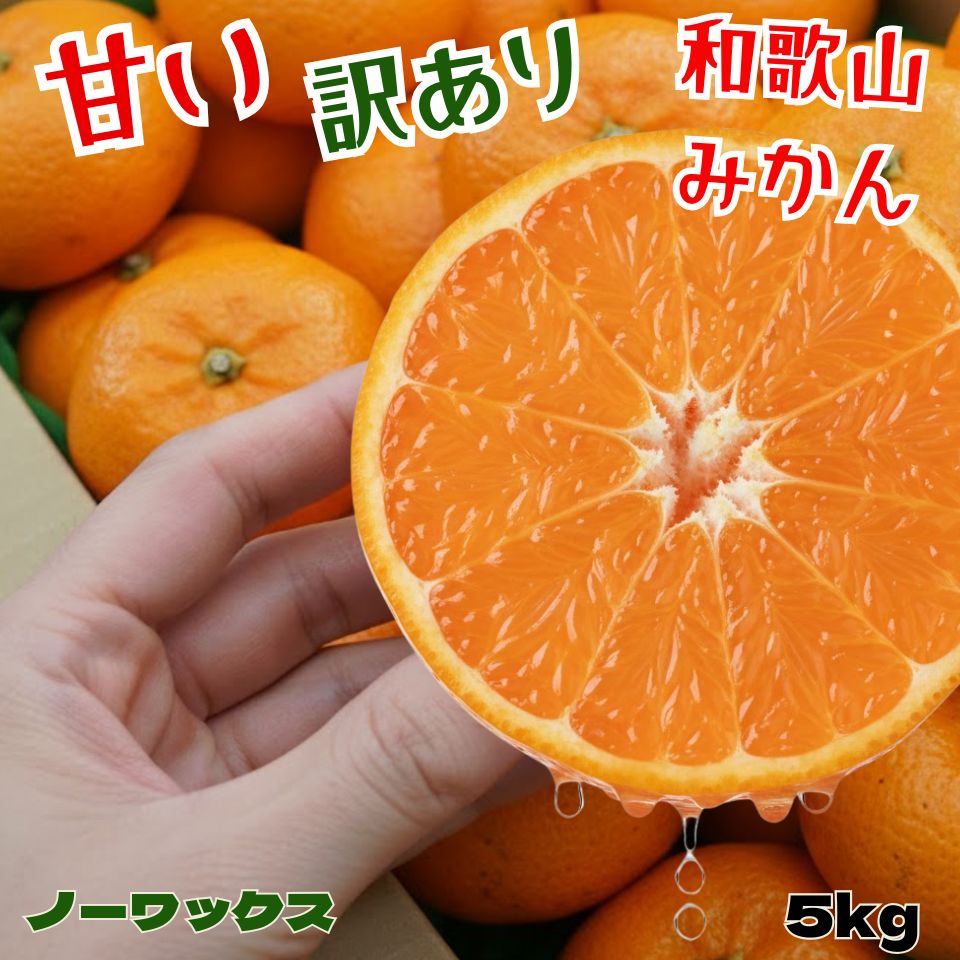 楽天市場】2024年ご予約開始！淡路島スイーツみかん5kg【＊＊収穫前の