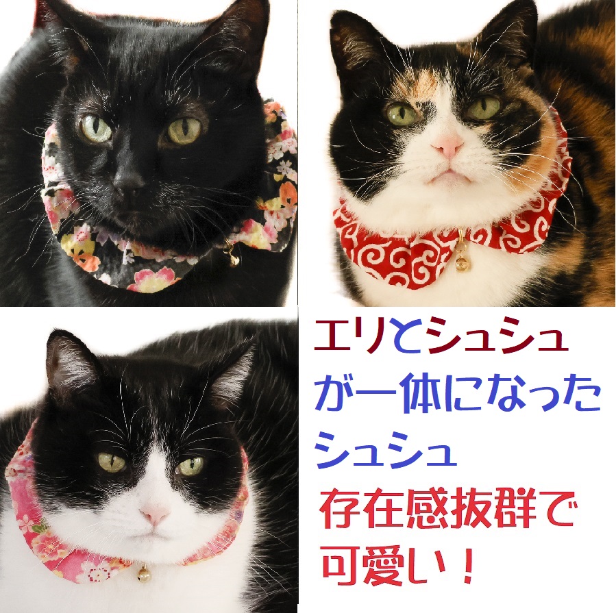 贅沢品 猫用首輪シュシュ 猫 子猫 犬 No.813K