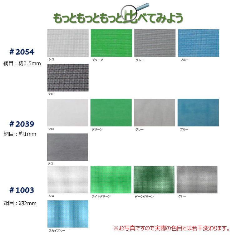 もっともっと比べてみよう