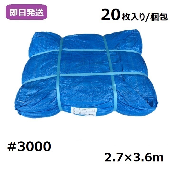文芸評論社会的運動