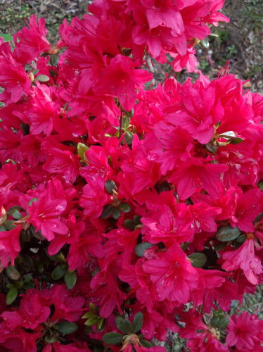 img63651631.jpg