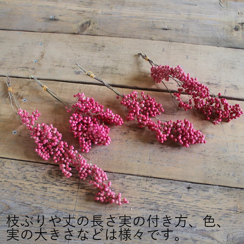楽天市場 ペッパーベリー ピンク 枝付 ドライフラワー 花材 リース 手作り 国産 材料 素材 ナチュラル インテリア ディスプレイ 実 シンプル 木の実 ドライフラワー雑貨 花七曜