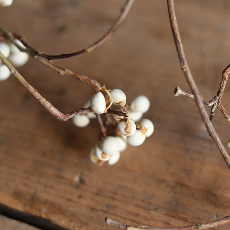 ナンキンハゼの木 ドライフラワー / 国産 花材 ボタニカル リース