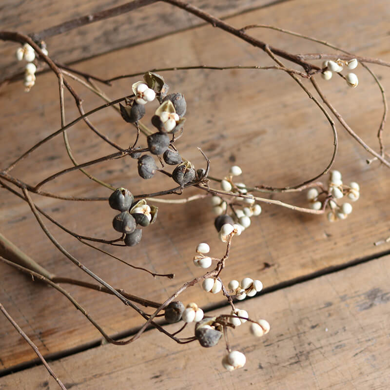 ナンキンハゼの木 ドライフラワー / 国産 花材 ボタニカル リース