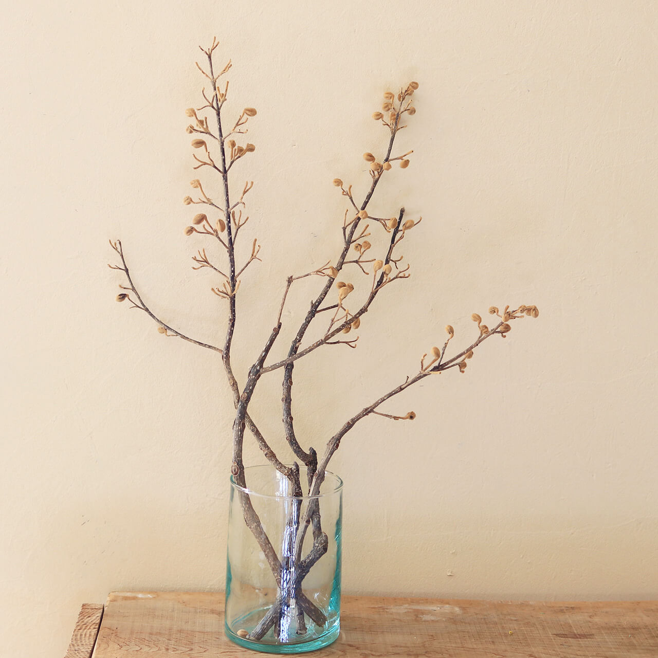 楽天市場 ドライフラワー 桐 キリ 実付 枝もの ドライフラワー 花材 リース ブーケ ハンドメイド シンプル 手作り 材料 素材 ナチュラル インテリア ディスプレイ ドライフラワー雑貨 花七曜