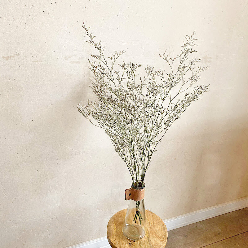 スターチス Hbチース エバーライト ドライフラワー 花材 リース 手作り 国産 材料 素材 ナチュラル インテリア ディスプレイ ホワイト フィラーフラワー カスミソウ