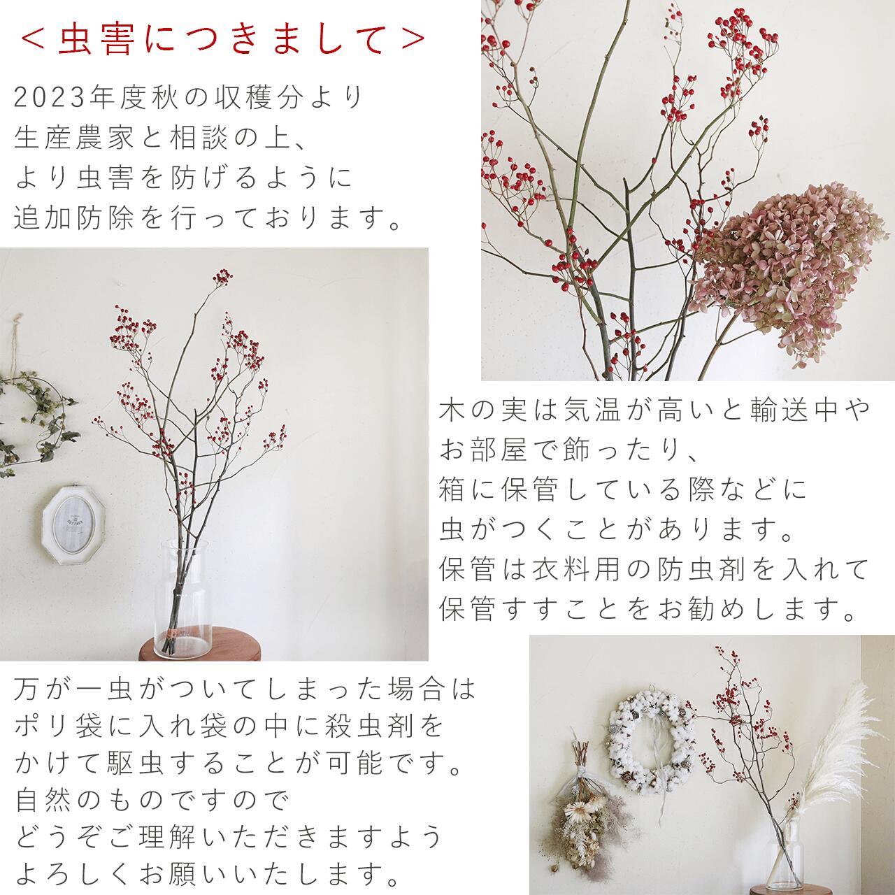 大枝 赤い実 長さ約60cm〜80cm】 野バラの実 ◇ドライフラワー