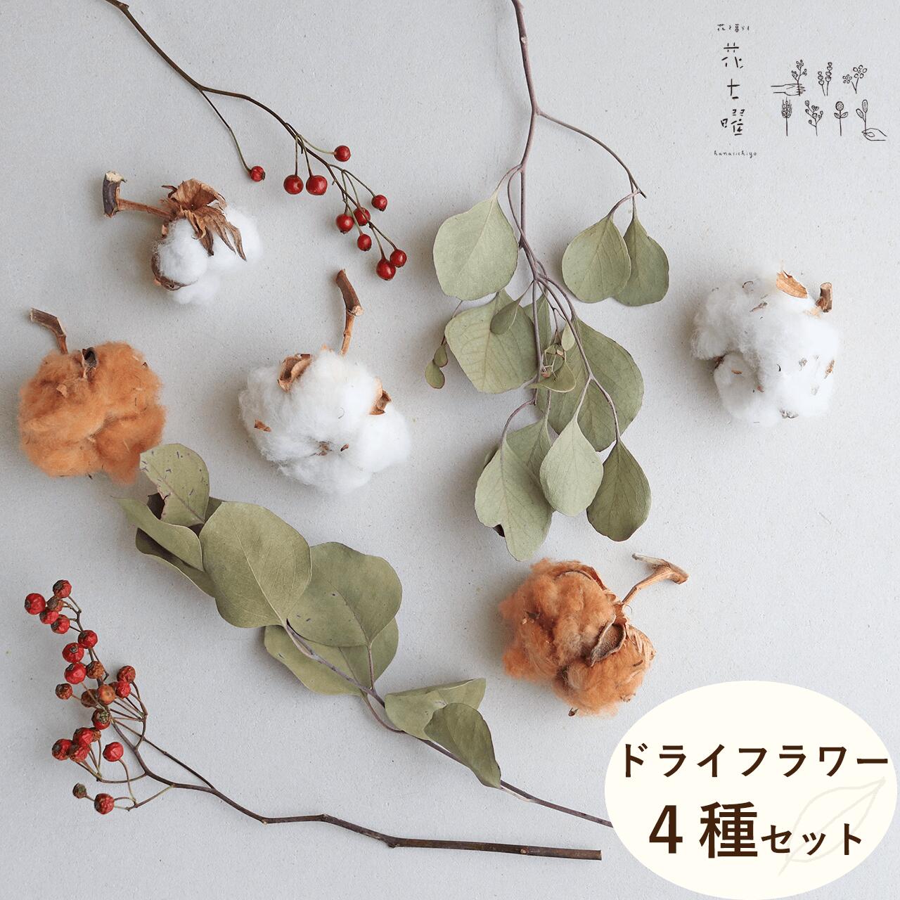 楽天市場】IRON サークルフック / ドライフラワーを飾るとかわいい