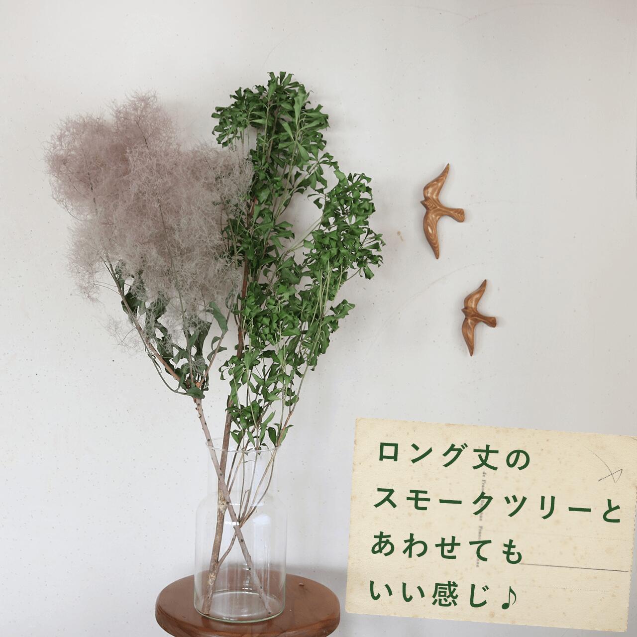 枝もの 長さ60〜90cm】 ドライフラワー あせび 【グリーン】 ◇ 馬酔木