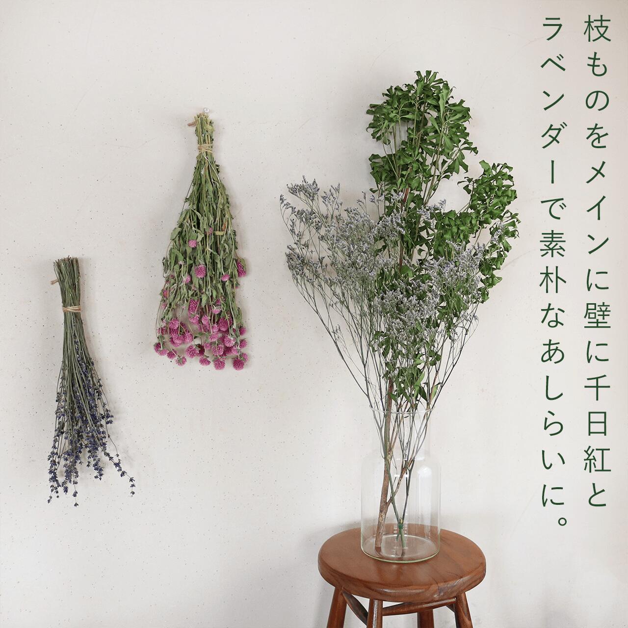 枝もの 長さ60〜90cm】 ドライフラワー あせび 【グリーン】 ◇ 馬酔木