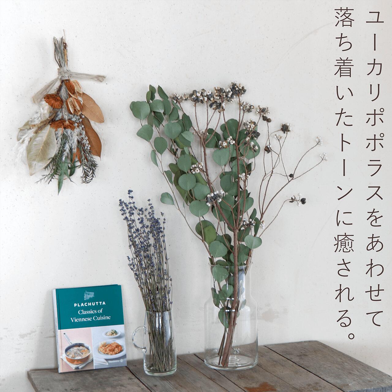 枝もの ナンキンハゼの木 ドライフラワー ＊ 国産 花材 ボタニカル
