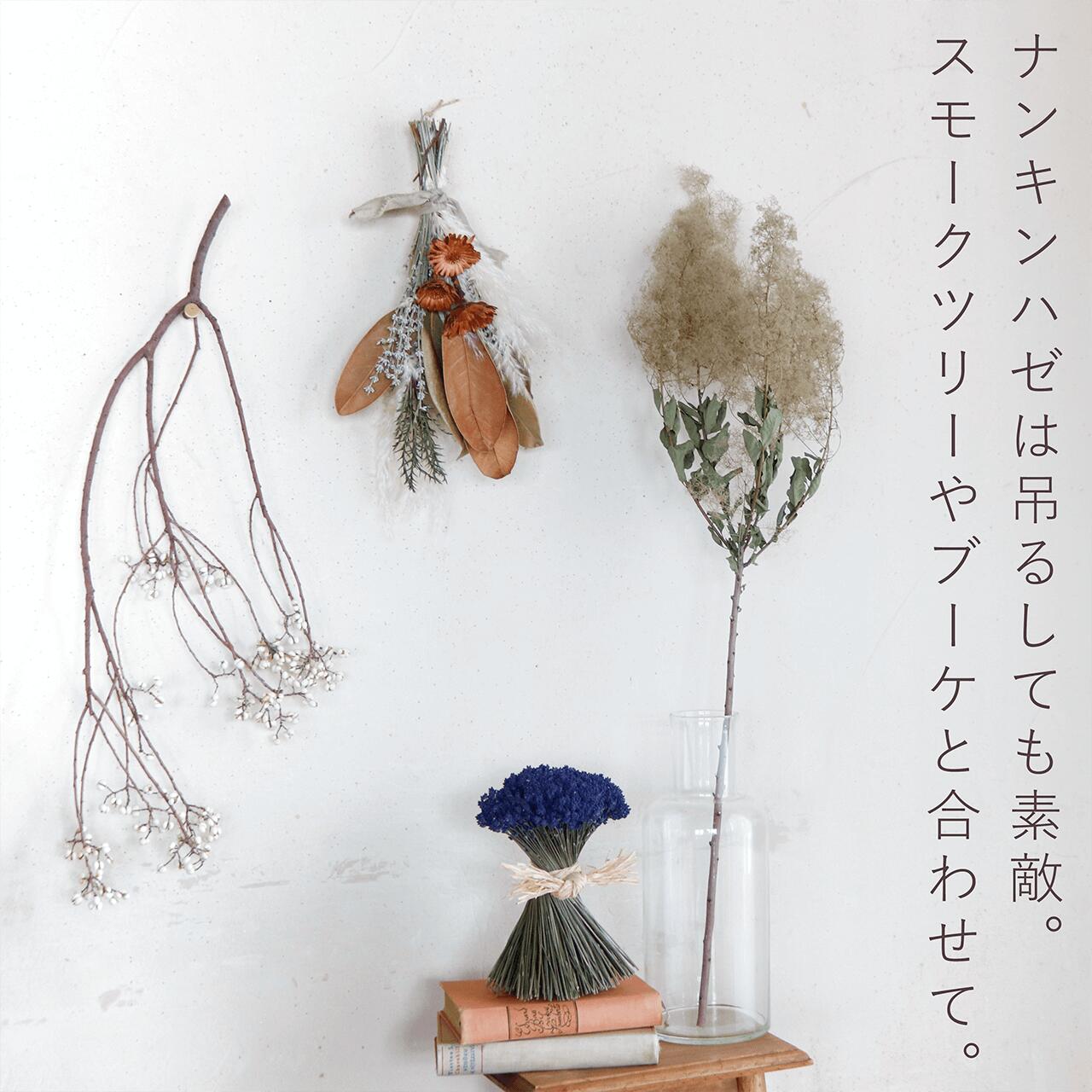 ✧︎*。一点物✧︎*。木の実と小枝のボタニカルワイヤーリース