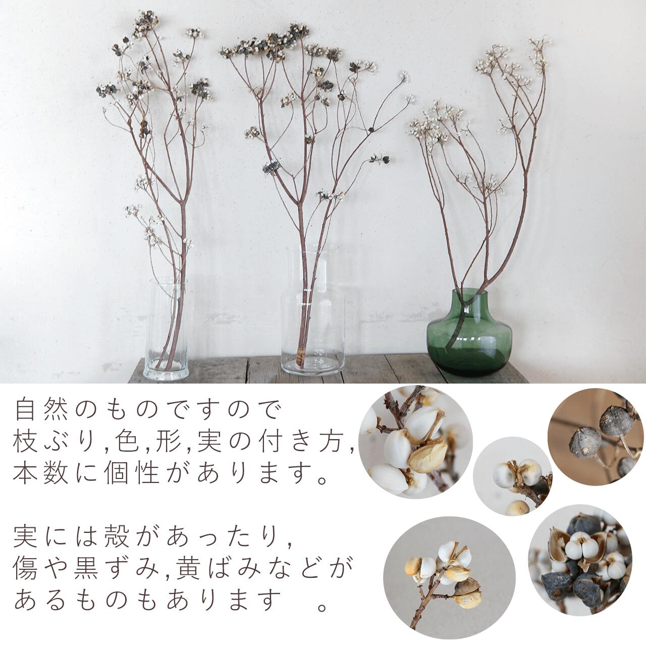 枝もの ナンキンハゼの木 ドライフラワー ＊ 国産 花材 ボタニカル