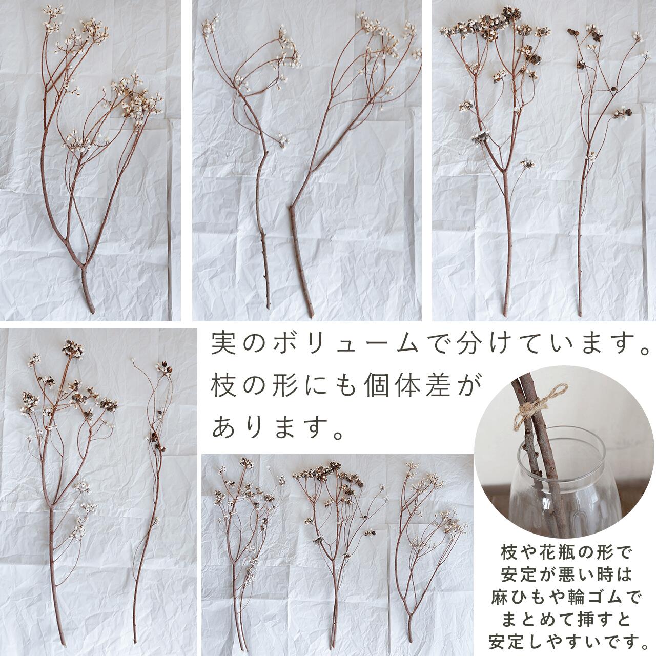 ✧︎*。一点物✧︎*。木の実と小枝のボタニカルワイヤーリース