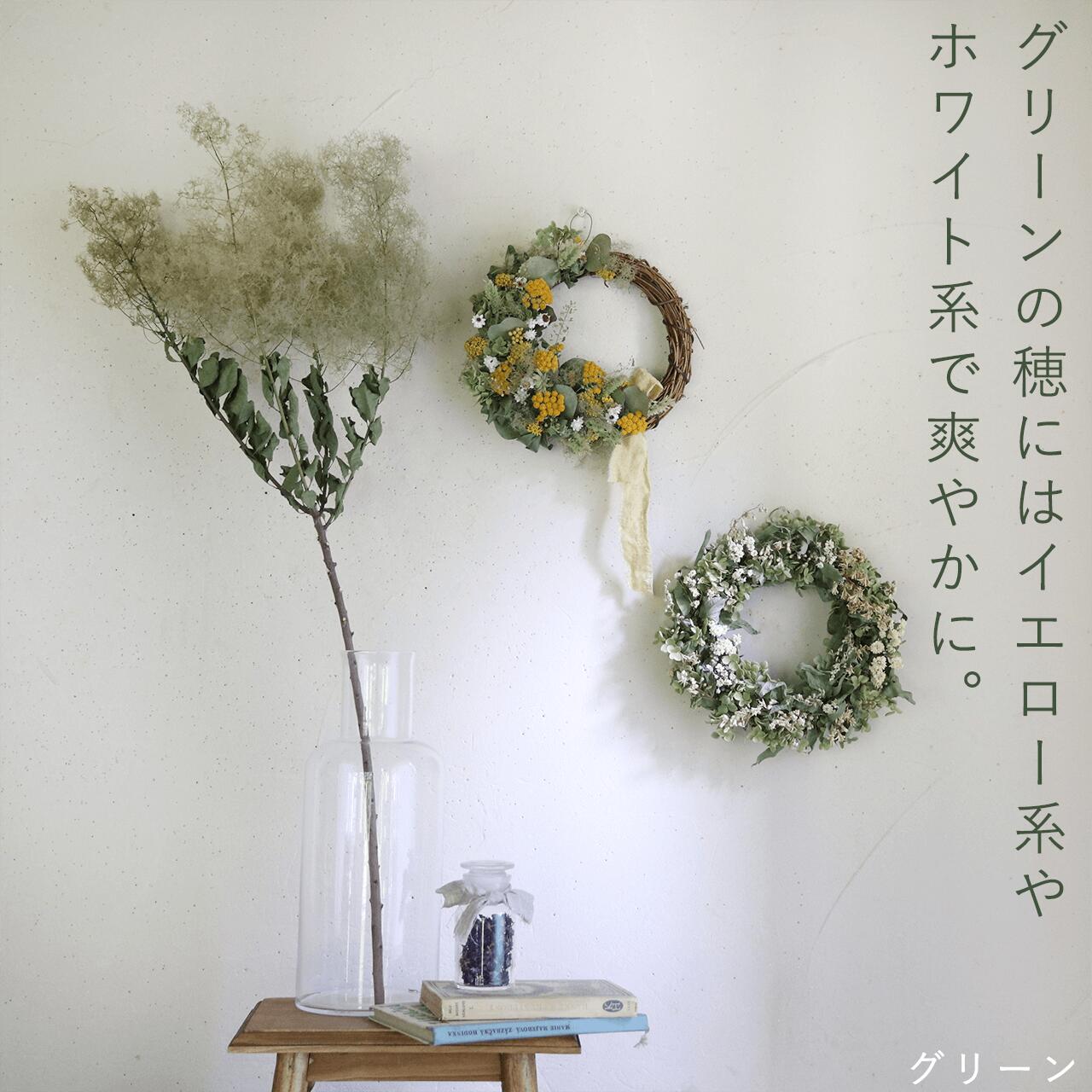 スモークツリー 100サイズ 2箱 ※専用ページ スモークツリー3号ポット苗 4本おみつくろいセット〈花光園