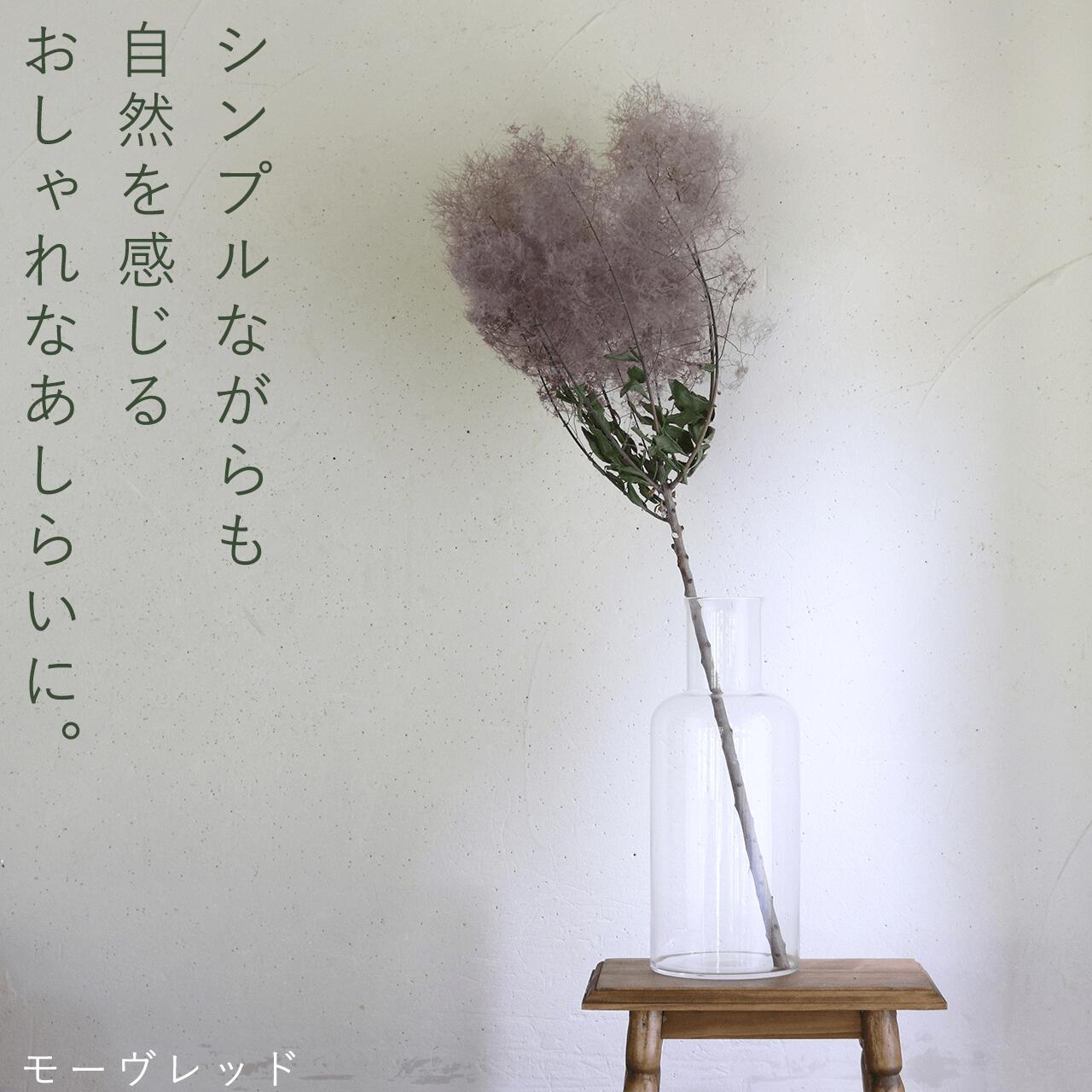 【 大枝 丈60〜80cm 】 スモークツリー ロング (1〜2本)◆ モーヴ ・ グリーン ・ レッド /ドライフラワー 花材 リース 手作り 国産 材料 素材 ディスプレイ インテリア ナチュラル シンプル 枝 枝もの