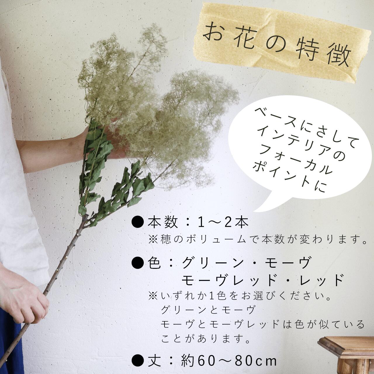 【 大枝 丈60〜80cm 】 スモークツリー ロング (1〜2本)◆ モーヴ ・ グリーン ・ レッド /ドライフラワー 花材 リース 手作り 国産 材料 素材 ディスプレイ インテリア ナチュラル シンプル 枝 枝もの