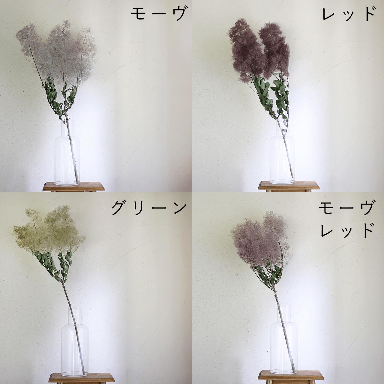 【 大枝 丈60〜80cm 】 スモークツリー ロング (1〜2本)◆ モーヴ ・ グリーン ・ レッド /ドライフラワー 花材 リース 手作り 国産 材料 素材 ディスプレイ インテリア ナチュラル シンプル 枝 枝もの