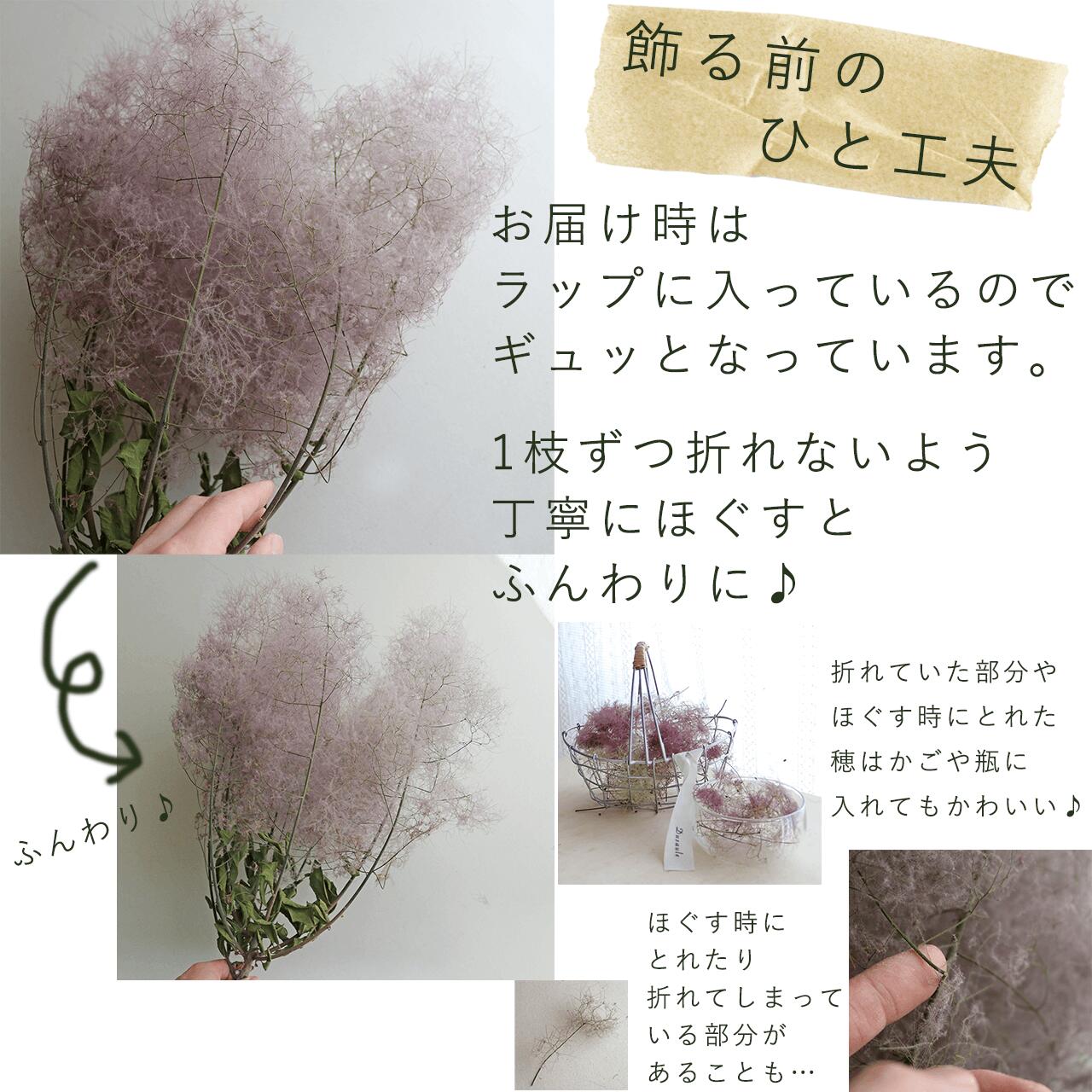 【 大枝 丈60〜80cm 】 スモークツリー ロング (1〜2本)◆ モーヴ ・ グリーン ・ レッド /ドライフラワー 花材 リース 手作り 国産 材料 素材 ディスプレイ インテリア ナチュラル シンプル 枝 枝もの