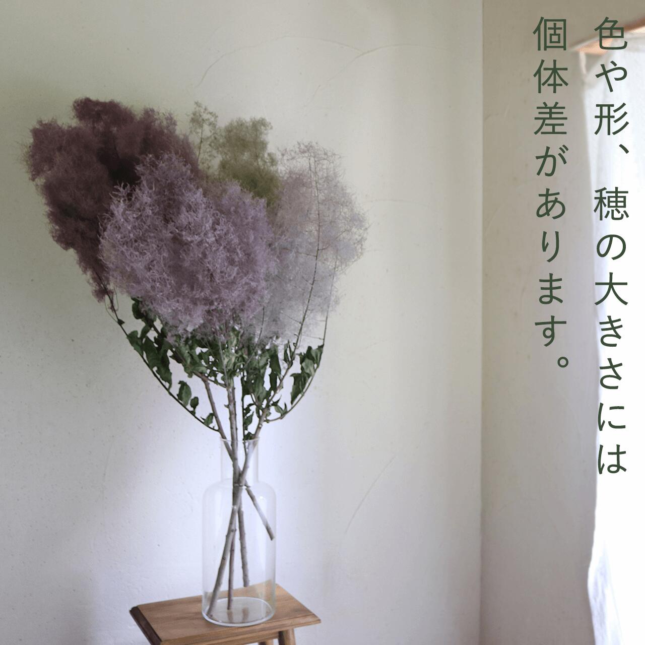 【 大枝 丈60〜80cm 】 スモークツリー ロング (1〜2本)◆ モーヴ ・ グリーン ・ レッド /ドライフラワー 花材 リース 手作り 国産 材料 素材 ディスプレイ インテリア ナチュラル シンプル 枝 枝もの