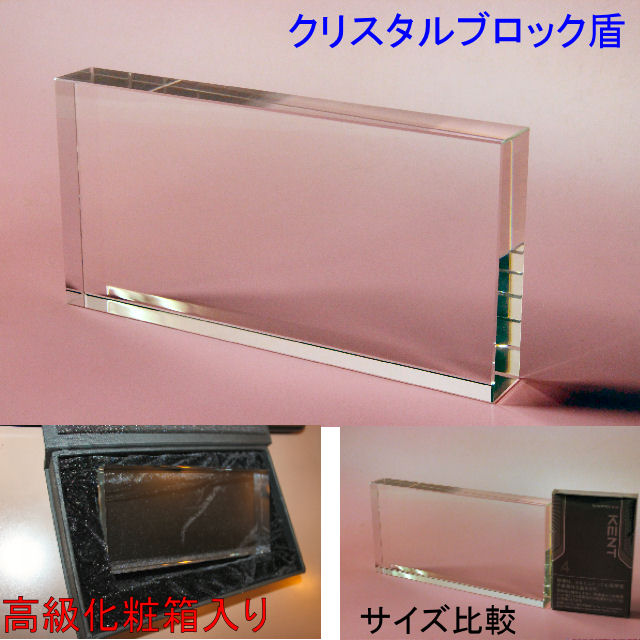 4800 名入れ 彫刻 クリスタルブロック盾 152x76x20mm オリジナル彫刻 刻印 記念品 受賞 ギフト 記念盾